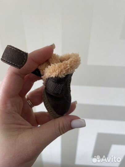 Обувь для собак мелких пород