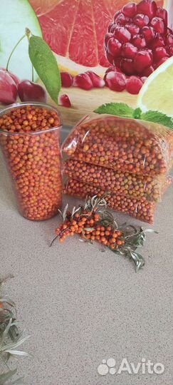 Облепиха ягоды