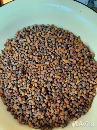 Перга пчелиная