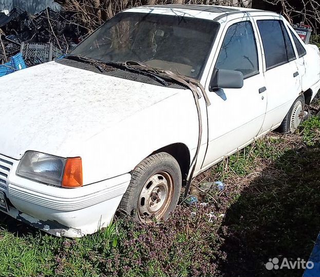 Двери Опель кадет