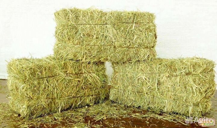 Продам сено в тюках 2024 год