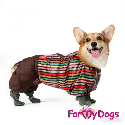 Одежда и обувь для Вашего питомца