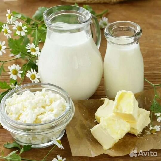 Продам козье молоко (Козы Альпийские)