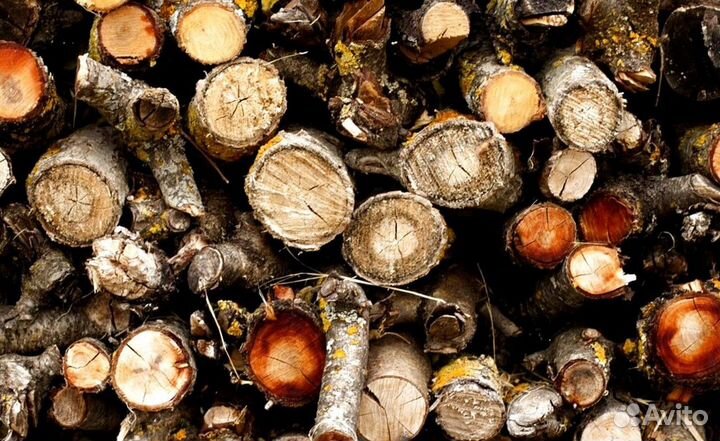 Дрова в камин