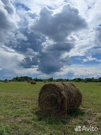 Сено в рулонах