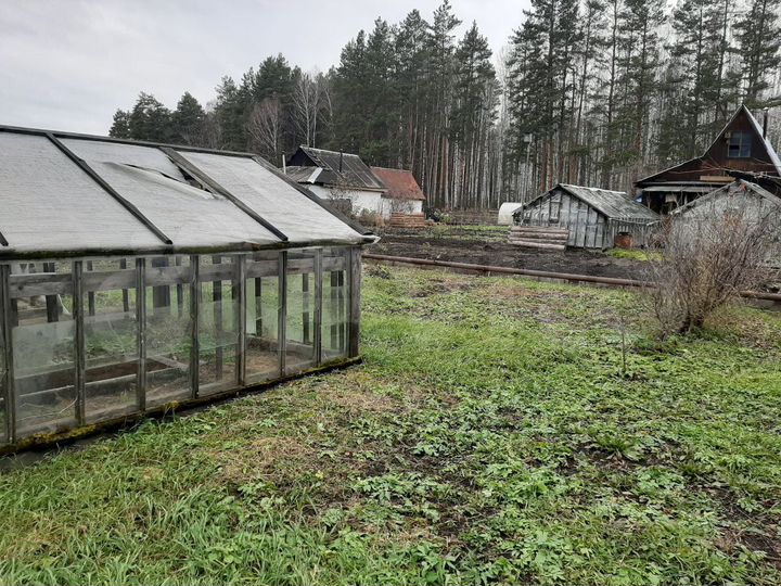 Участок 6 сот. (СНТ, ДНП)