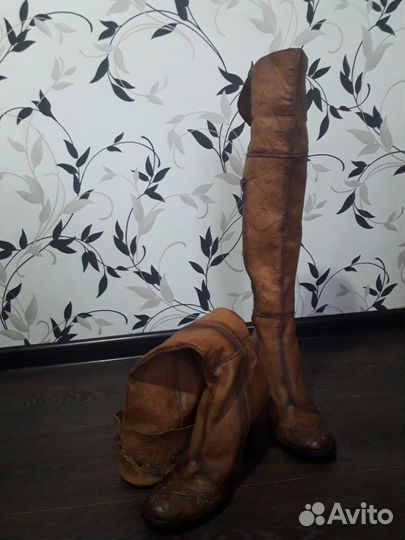 Демисезонные ботфорты brado