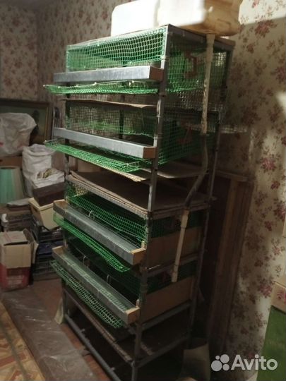 Клетки для перепелов