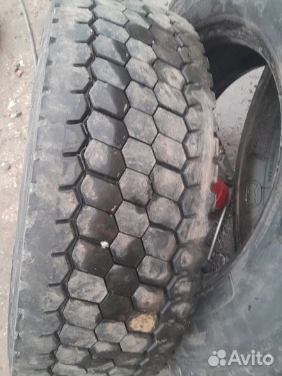 245 70 19,5 кама