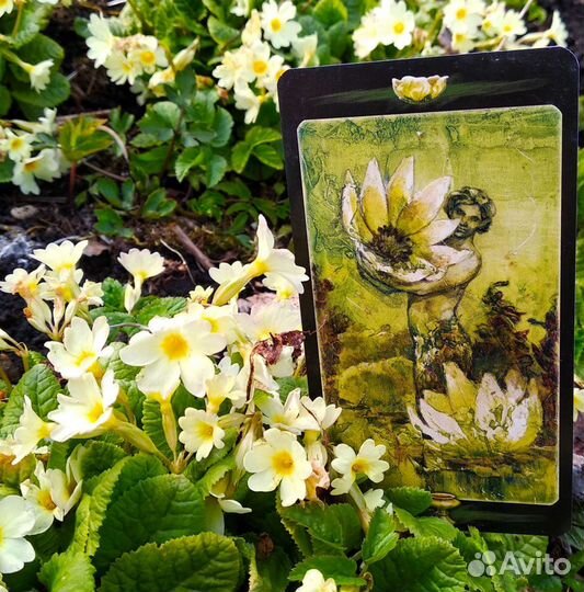 Таро обучение, консультации