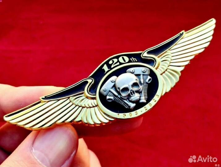 Нагрудный знак с черепами