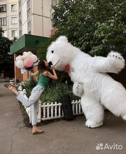 Поздравление от белого танцующего мишки