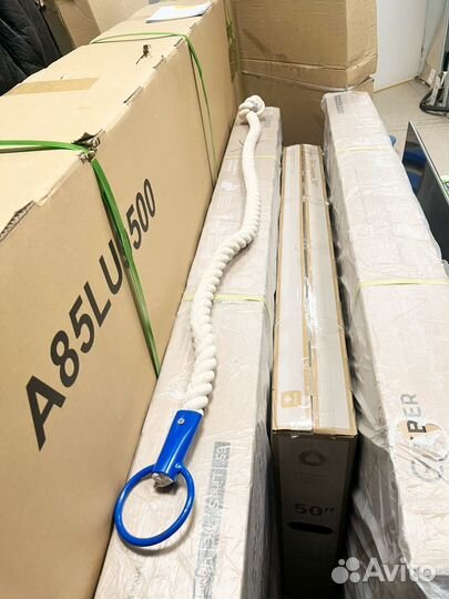 Какнат спортивный