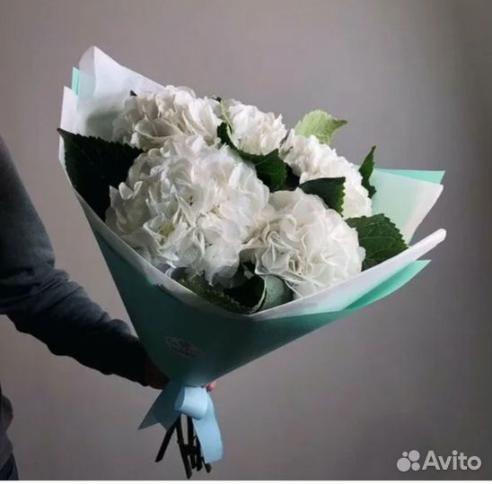 Гортензия букет