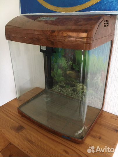 Аквариум на 35 л