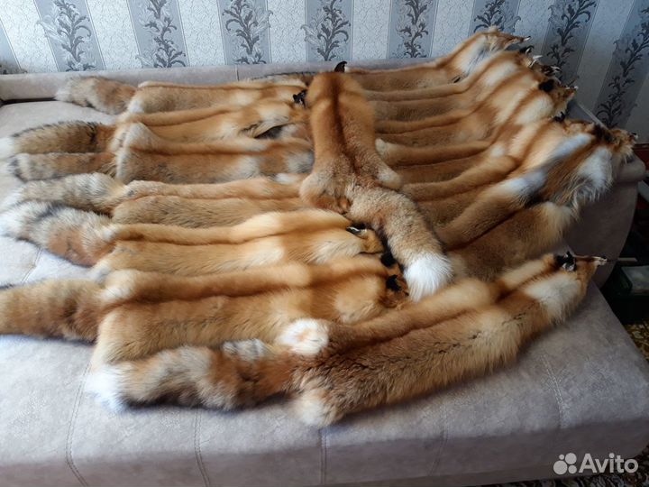 Шкурки лисы