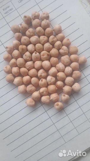 Чечевица красная