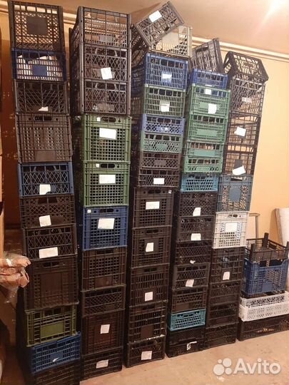 Пластиковые ящики бу