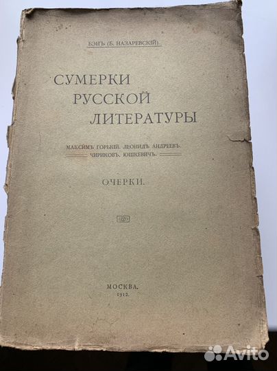 Сумерки русской литературы