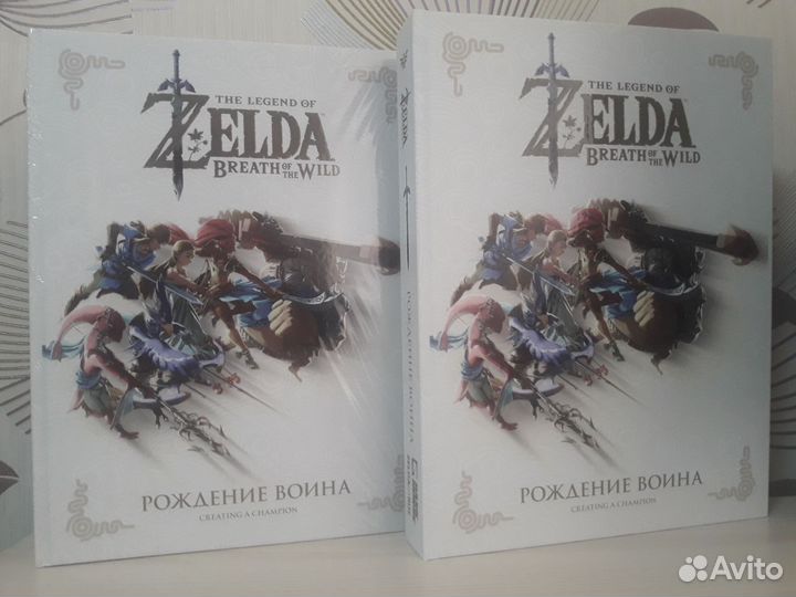 Zelda Breath of the Wild Рождение воина