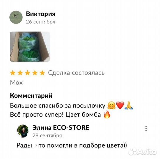Стабилизированный мох.Фитопанно из мха 50 см