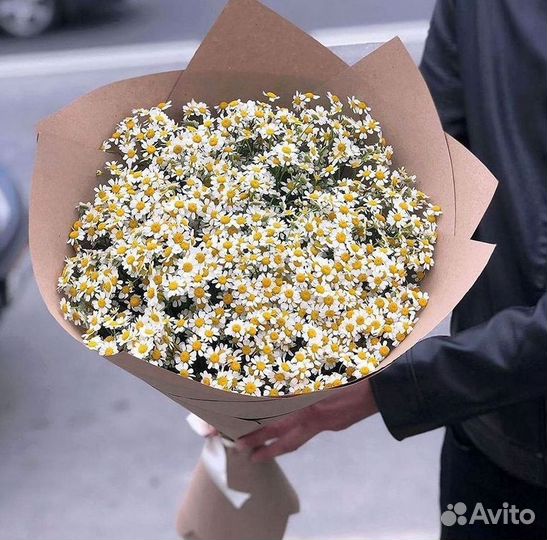 Цветы ромашки. Букеты ромашек. Цветы доставка