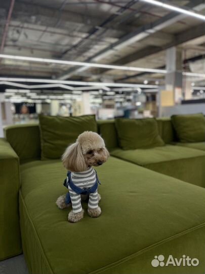 Дизайнерский модульный диван