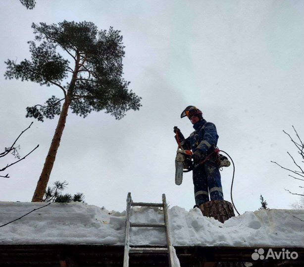 Спилить дерево