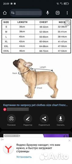 Одежда для собак