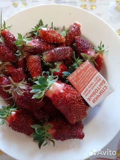 Клубника рассада