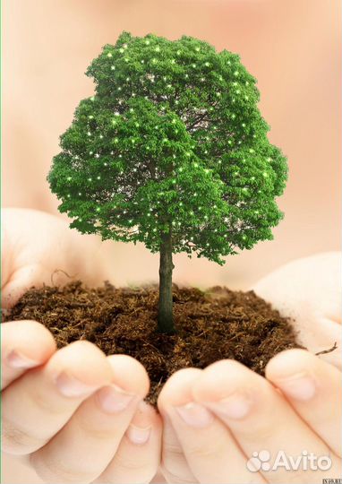 Готовая почва для плодоягодных культур