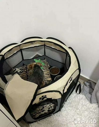 Вольер для собак и кошек