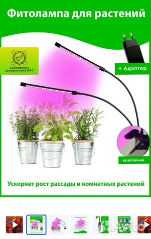 Фитолампа для растений