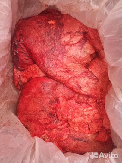 Корм для собак, рубец,ливер,обрезь