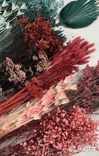 Сухоцветы и стабилизированные растения в наличии