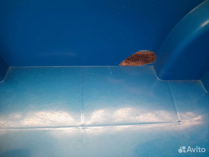 Контейнер для игрушек