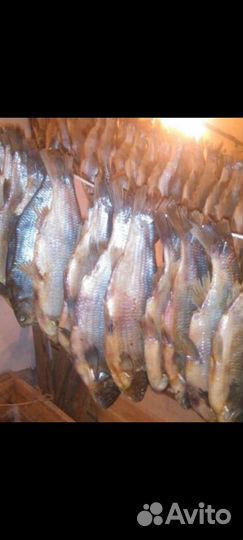 Рыба, ягоды, орехи