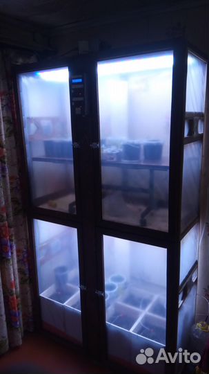 Контроллер теплицы