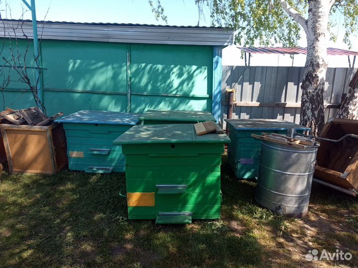 Пчелиные ульи