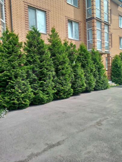 Комната 15 м² в 2-к., 2/3 эт.