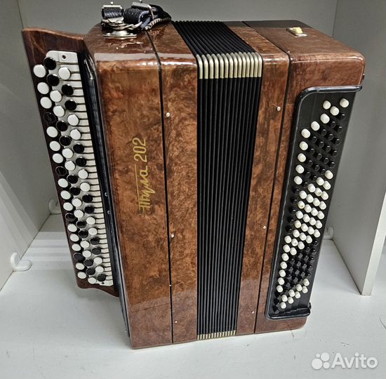 Баян Тула 202