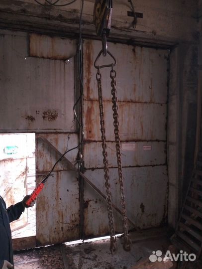 Цепной паук