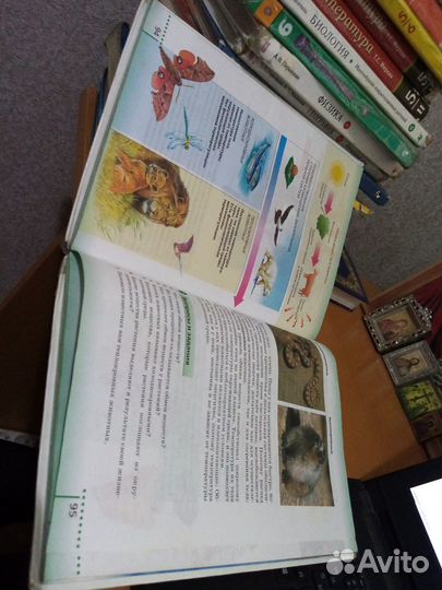 Биология сонин 6 класс