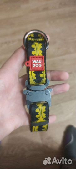 Ошейник для собак