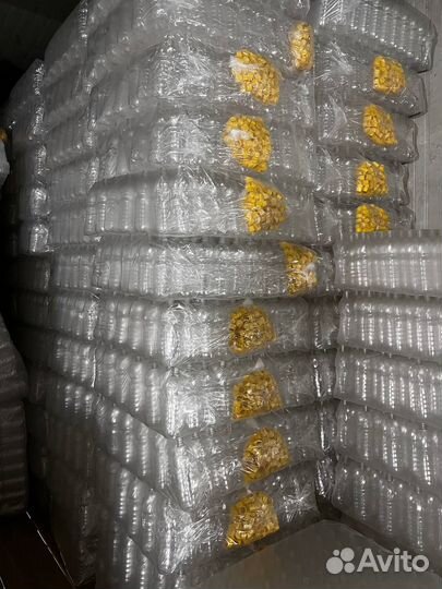 Пэт Бутылка 2л 2000мл Пивная бутылка