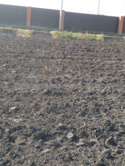 Участок 33 сот. (СНТ, ДНП)