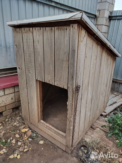 Собачья будка