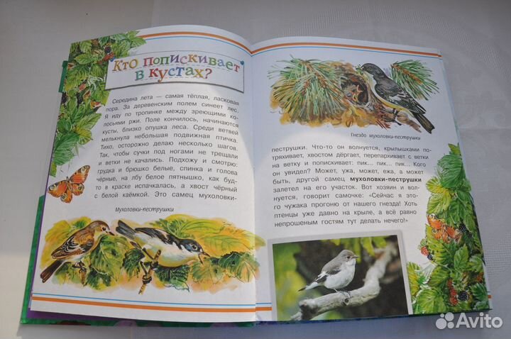 Почемучкина энциклопедия, детские книги