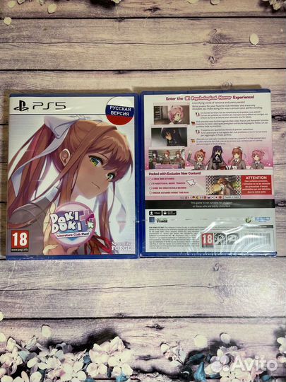 Doki doki literature clab plus PS5