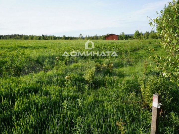 Участок 40 сот. (СНТ, ДНП)